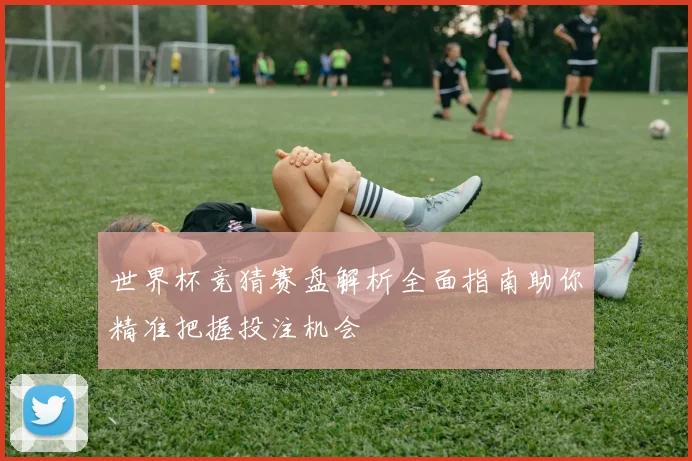 世界杯竞猜赛盘解析全面指南助你精准把握投注机会